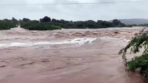 बरसात बनी आफत , कई जिलों में नदी नाले उफान पर