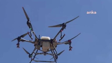 Bilecik'te Çayır Tırtılına Karşı Havadan İlaçlama