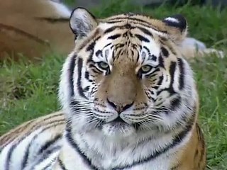 Here's Looking At You Kid (2002)