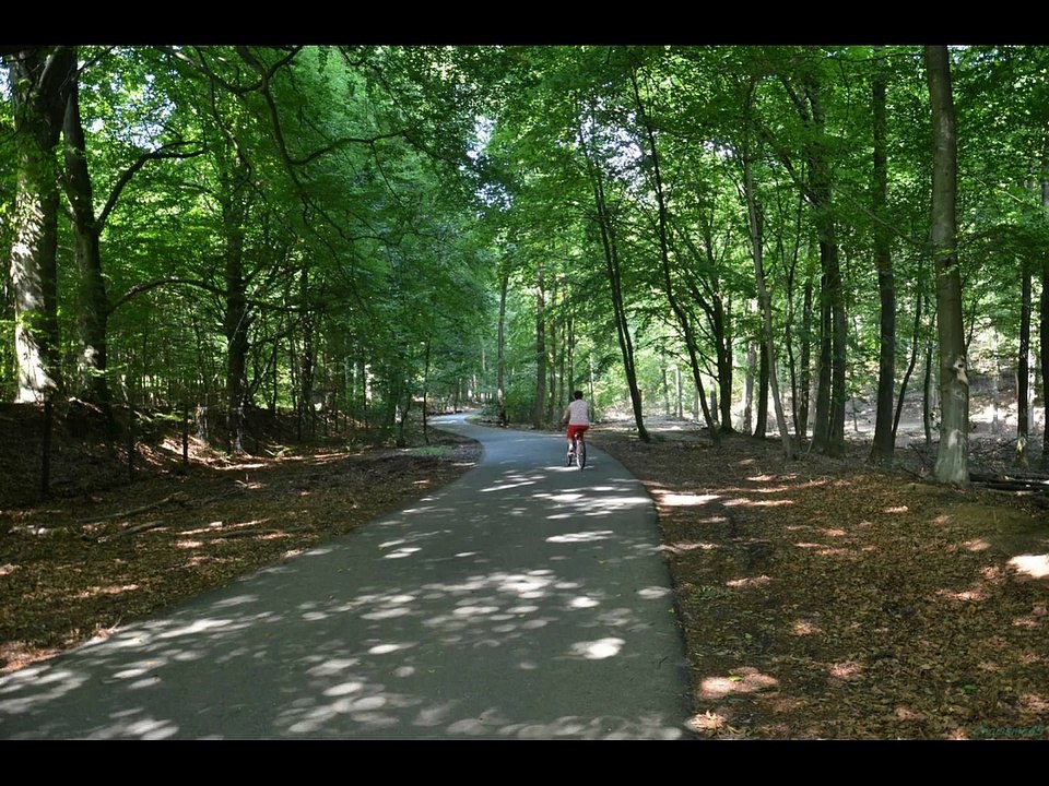 Pays-bas (Le parc de Voluvzoom)