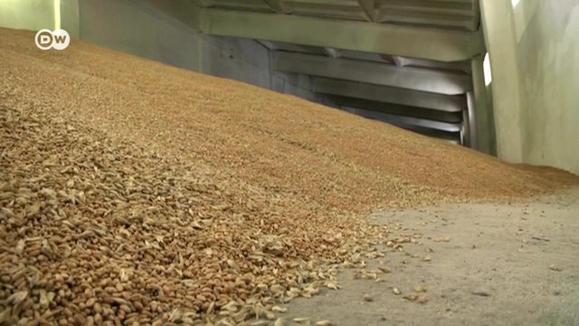 Логистический хаос вокруг украинской пшеницы (27.07.2022)