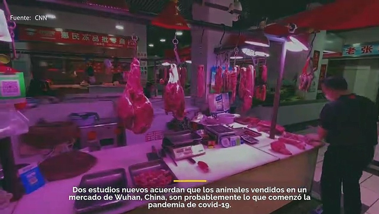 2 nuevos estudios coinciden en que los animales vendidos en un mercado de Wuhan son probablemente lo que inició la pandemia de Covid-19