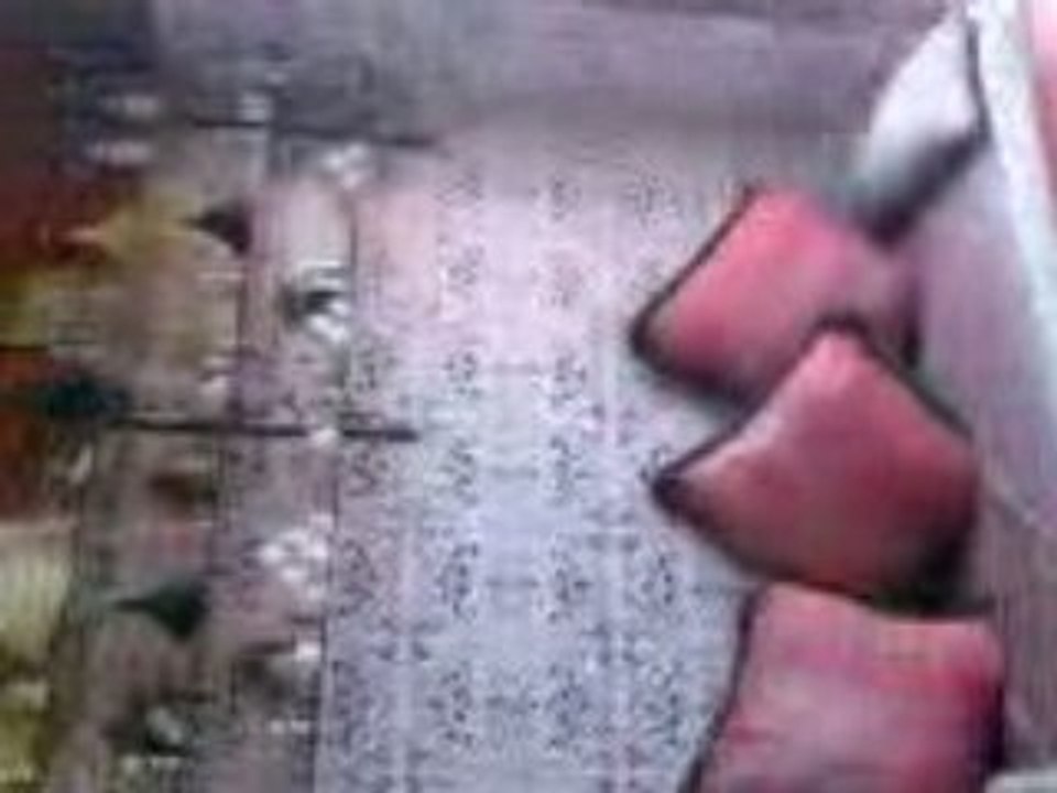 Vidéo002