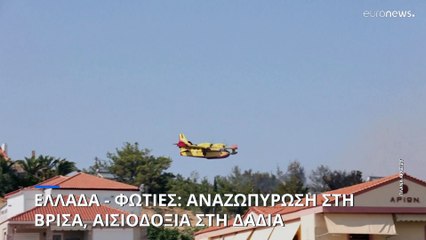 Ελλάδα - φωτιές: Αναζωπύρωση στη Λέσβο - Αισιοδοξία για τη Δαδιά