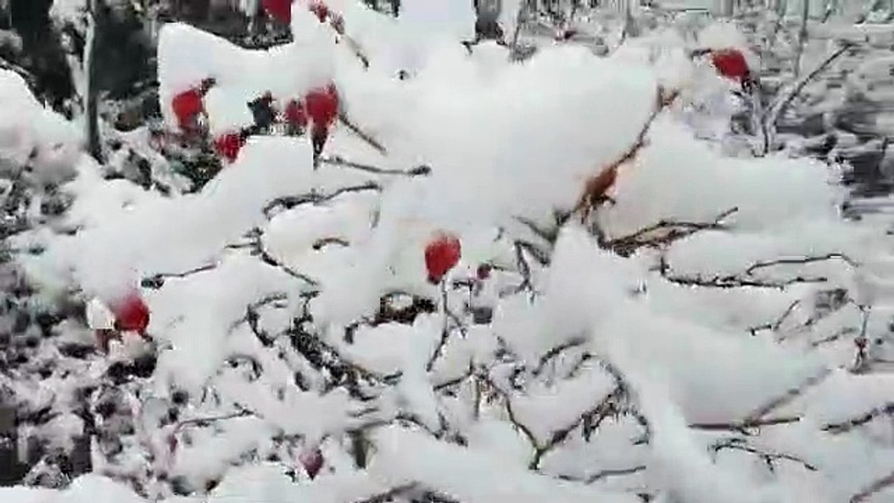 El impactante paisaje nevado de Chubut