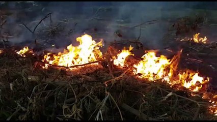 Corpo de Bombeiros é acionado para apagar incêndio em Cascavel