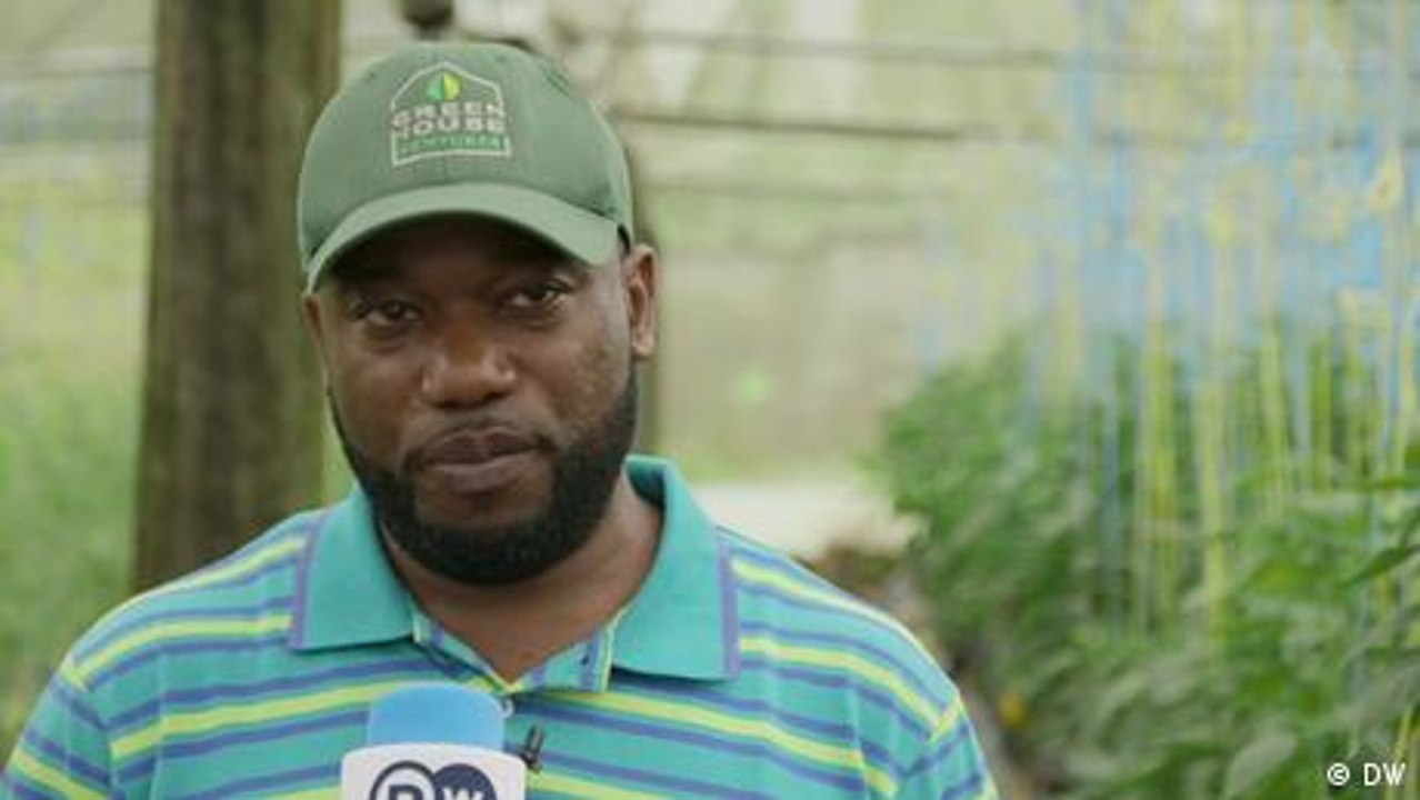 Gewächshausanbau verbessert Ernährungssicherheit in Kamerun