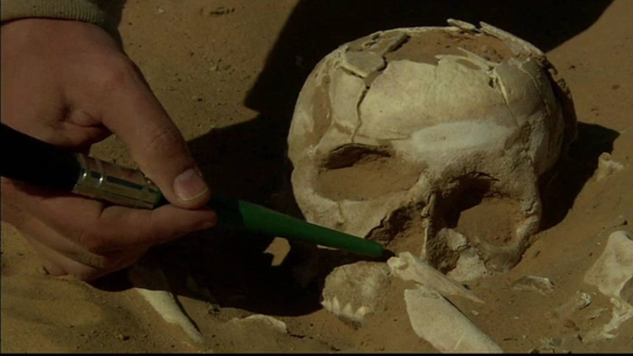 Oldest Human Fossil Found in Europe Named After Pink Floyd