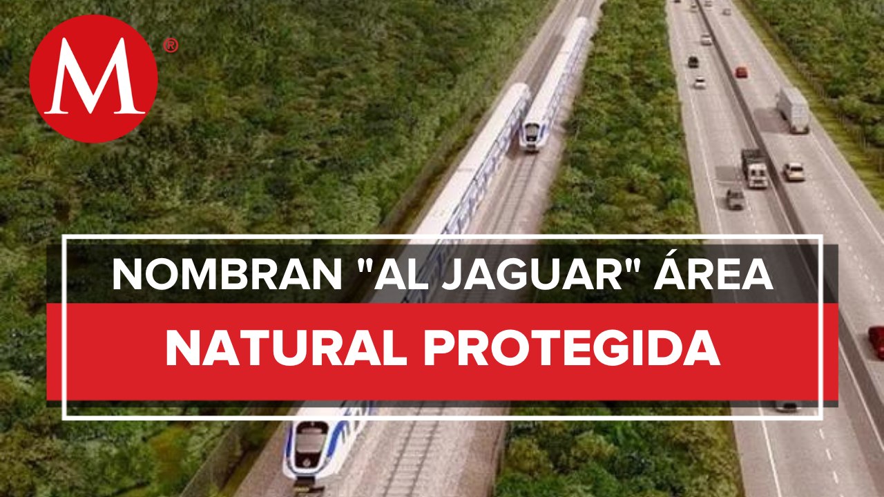 AMLO declara área natural protegida la región "Jaguar" en Tulum