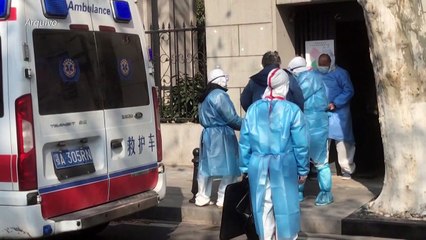 OMS: Todas as teorias sobre a origem da covid seguem em discussão