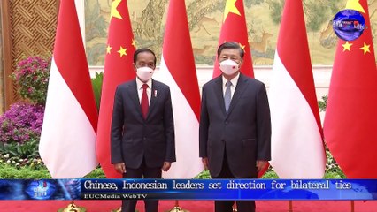 中印尼领导人为双边关系指明方向/Chinese, Indonesian leaders set direction for bilateral ties