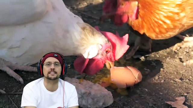 EVIL NUN 2 & her BUFF Chicken will BEAT US cuz SHAWN DISTRACTS ME! (+ FGTeeV Important Announcement)