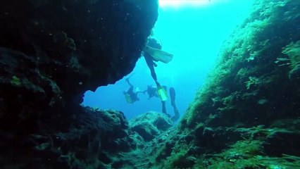 스쿠버다이빙 - 4of4