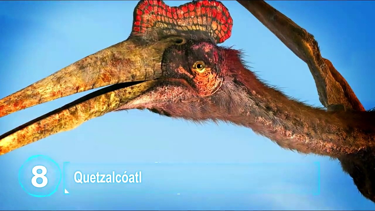 TOP 10 Increíbles Animales  Que Afortunadamente Ya No Existen _ Parte2