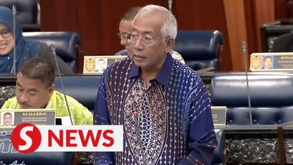 Orang Asli development policy to be finalised this year, Dewan Rakyat told