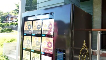 Expensive Donut Vending Machine in Japan!