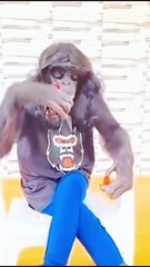 Funny Video Top Funny Virel Videos 2022