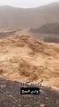 UAE: Heavy rains flood country's wadis