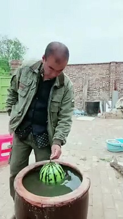 Must Watch New Funny Video 2022 Try To Not Laugh funny  trend  shorts