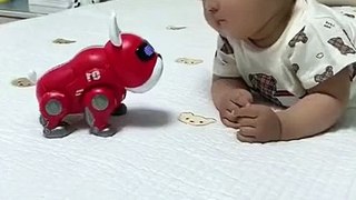 Baby Funny Video Shorts funny