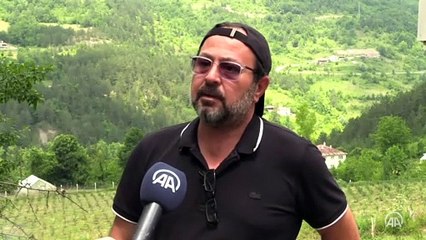 Yarım asırdır boş kalan araziler aronya ile yeşerdi