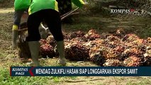 Mendag Zulkifli Hasan Berencana Longgarkan Kebijakan Ekspor Minyak, Namun Dengan Syarat...