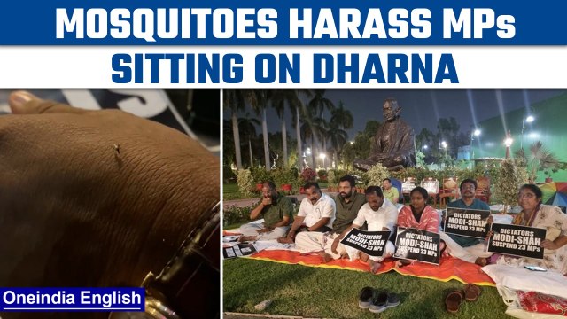 Monsoon session: Protesting MPs harassed by mosquitoes, shares video on Twitter | Oneindia News*News