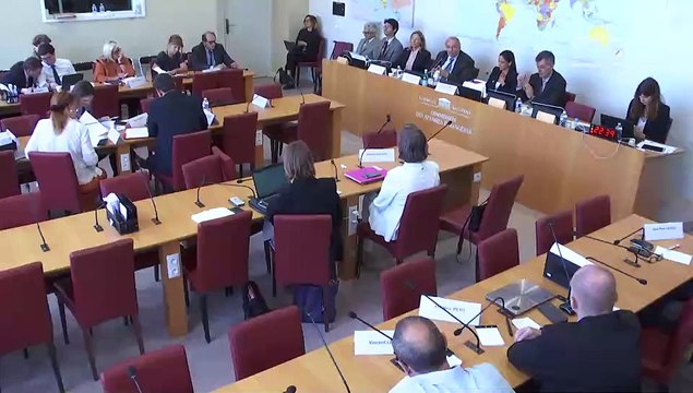 Commission des affaires étrangères : Ratification du protocole au traité de l’Atlantique Nord sur l’accession de la République de Finlande et du Royaume de Suède - Mercredi 27 juillet 2022