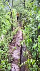 Excellent technique and skills in the work of the highland girl