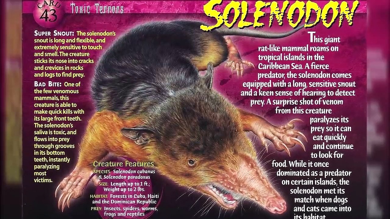TOP 10 Fósiles Vivientes _ Animales Prehistóricos en la Actualidad