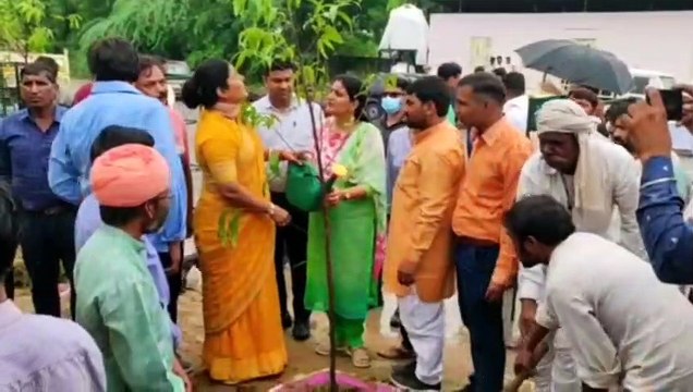 आजादी के 75वें अमृत महोत्सव पर ग्रेटर नगर निगम लगाएगा 75 हजार पौधे
