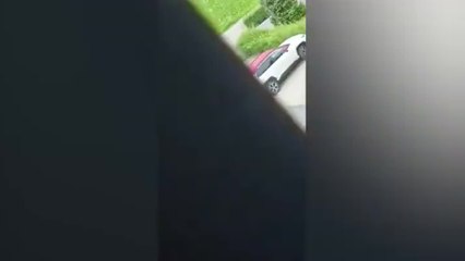 La pelea entre el entrenador y el director deportivo del Torino