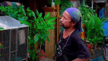 Epen Cupen - Beli Burung