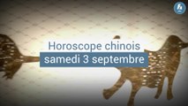 FEMME ACTUELLE - Horoscope chinois du jour du samedi 3 septembre 2022, la Chèvre de Terre