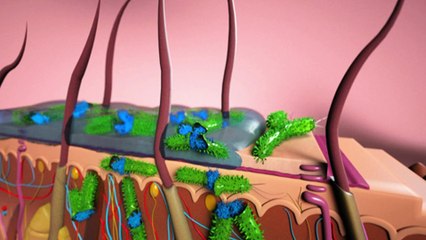 Betul Ke Bau Badan Lelaki Lebih kuat?