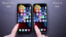 iPhone 13 Pro Green Unboxing and Camera Test