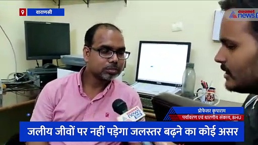 गंगा का जलस्तर बढ़ने से जलमग्न हुए 84 घाट, BHU के प्रोफेसर से जानिए क्या पड़ेगा जलीय जीवों पर इसका असर 