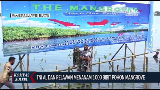 TNI AL Dan Relawan Menanam 5.000 Bibit Pohon Mangrove
