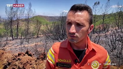 Alev savaşçıları, ormanlar kurtulsun diye mücadele ediyor