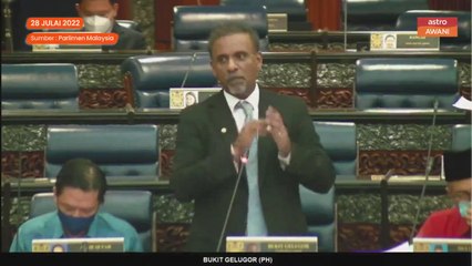 Kerajaan boleh tumbang akibat 'katak' - YB Bukit Gelugor