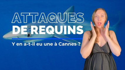 Attaque de requin à Cannes, vraiment ?