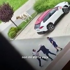 Juric e Vagnati, lite e rissa sfiorata