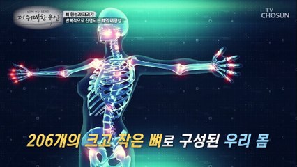 폐경기 여성들에게 더욱 치명적인 질환인 ‘골다공증’ TV CHOSUN 20220728 방송