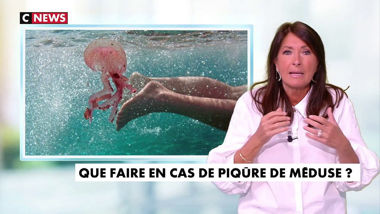 Que faire en cas de piqûre de méduse ? Vidéo Dailymotion