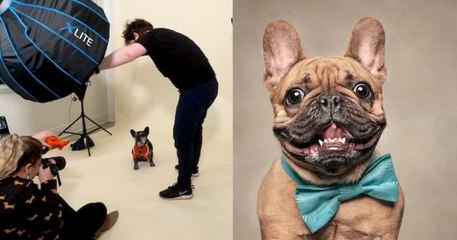Cette photographe immortalise la joie et les personnalités de ces chiens et c'est très drôle