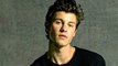 Shawn Mendes Cancels Rest Of 2022 Wonder Tour