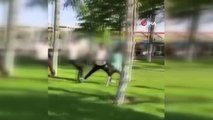 Parkta oturan gençleri gülerek dövüp video çektiler