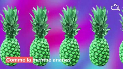 5 idées pour utiliser la menthe