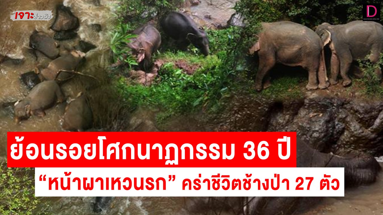 ย้อนรอยโศกนาฏกรรมประวัติศาสตร์! 36 ปี "หน้าผาเหวนรก" | เจาะข่าวดัง เดลินิวส์ 28/07/65