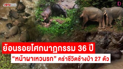 ย้อนรอยโศกนาฏกรรมประวัติศาสตร์! 36 ปี "หน้าผาเหวนรก" | เจาะข่าวดัง เดลินิวส์ 28/07/65